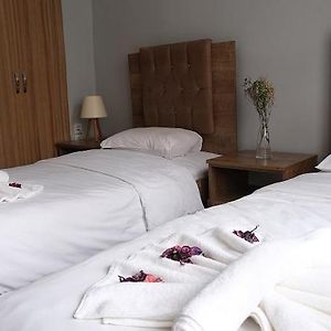 Big Molls Hotel